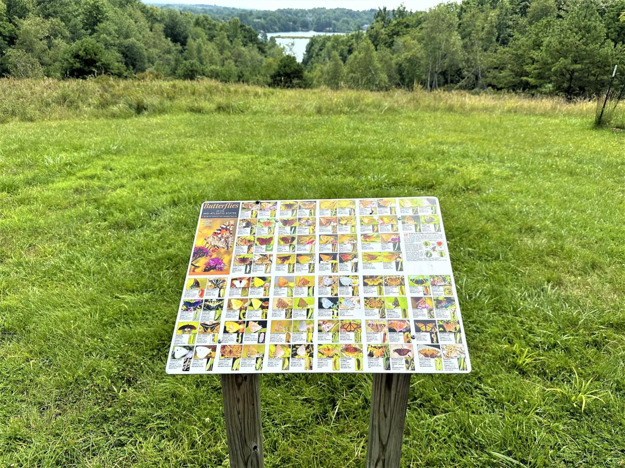 Wow!! Ultimate Pocono Retreat, Hot Tub, Game Room, Deck, Lakes, Skiing, Pools Long Pond エクステリア 写真